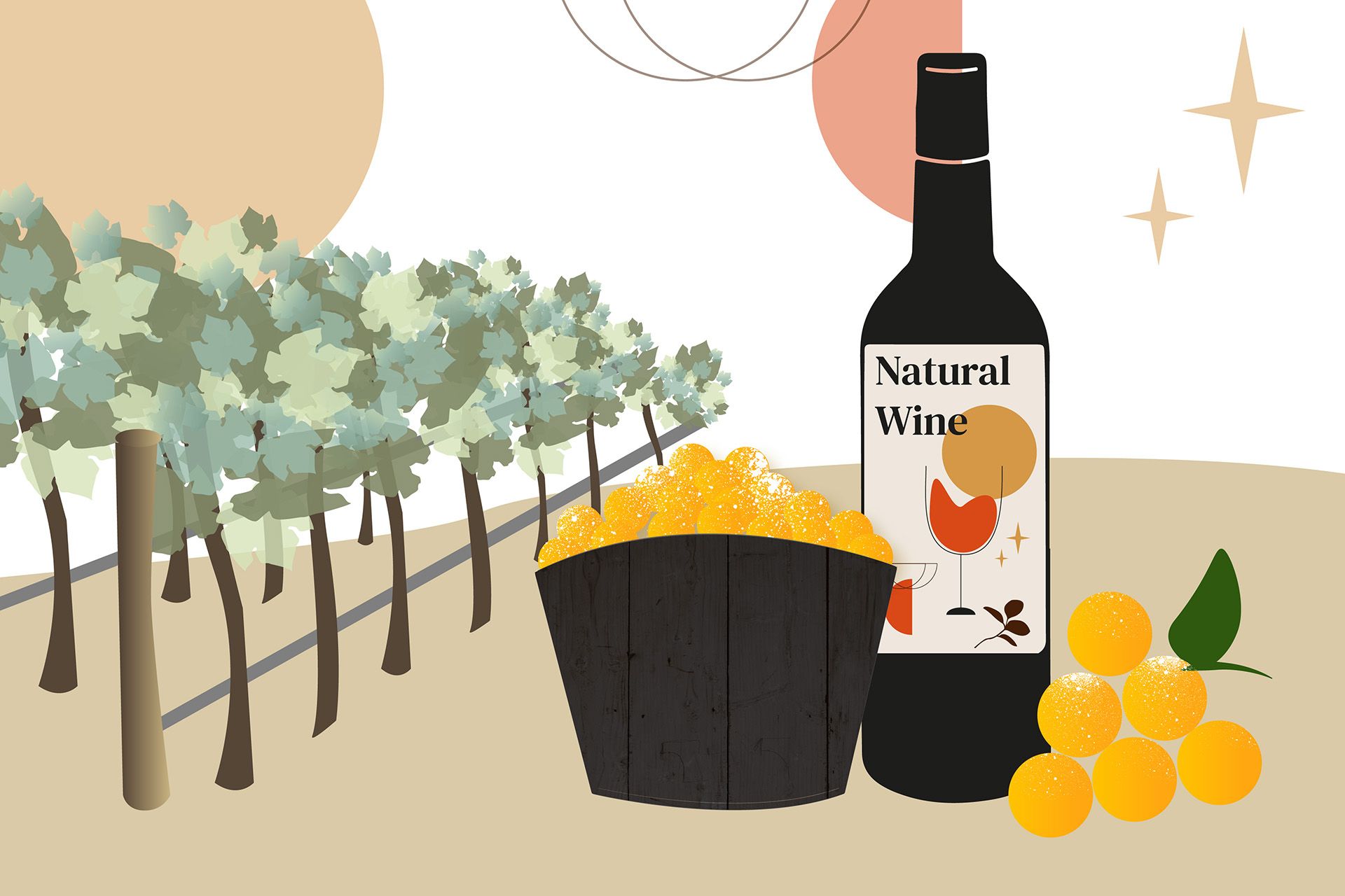 Premium Organic and Sustainable Food Brands in Argentina: What’s Worth Trying?